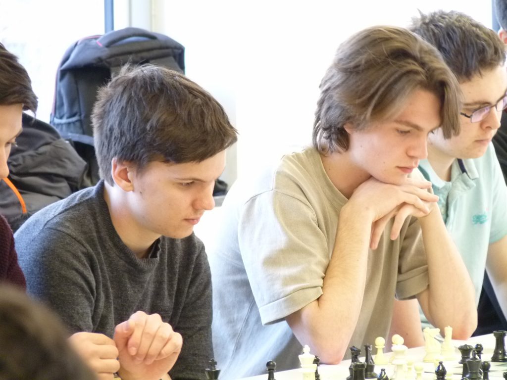 Chess player theluggage (N Mahoney from DONCASTER, United Kingdom) -  GameKnot